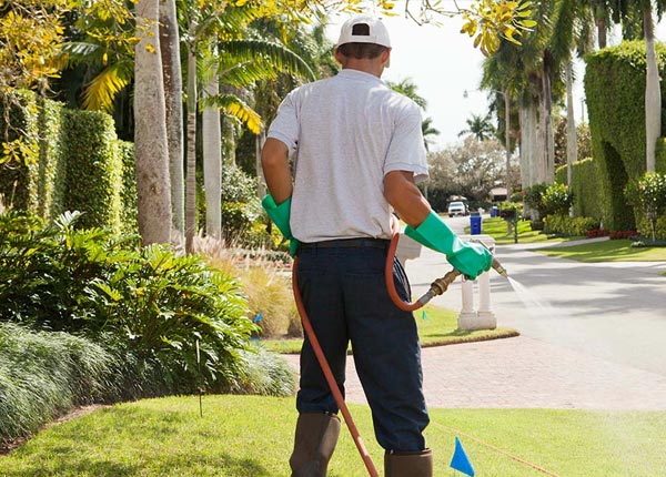 About Highlandville MO Pest Control